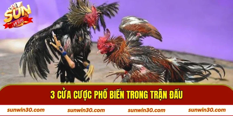 3 cửa cược phổ biến trong trận đấu