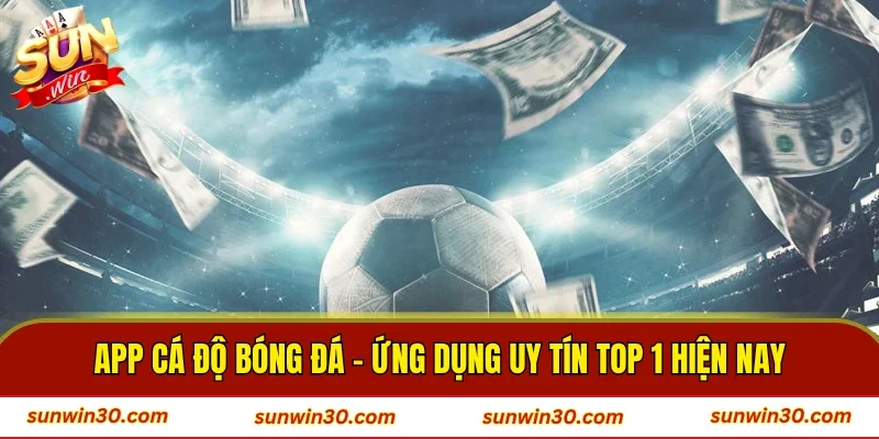 App Cá Độ Bóng Đá