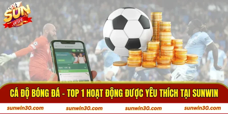 Cá Độ Bóng Đá