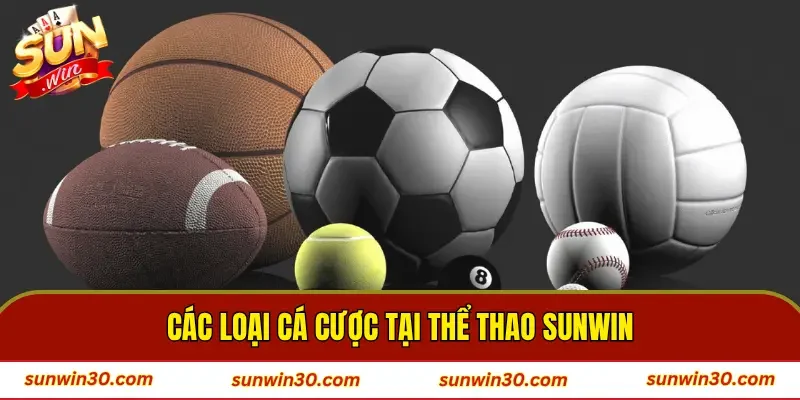 Các loại sân chơi cá cược thể thao SUNWIN