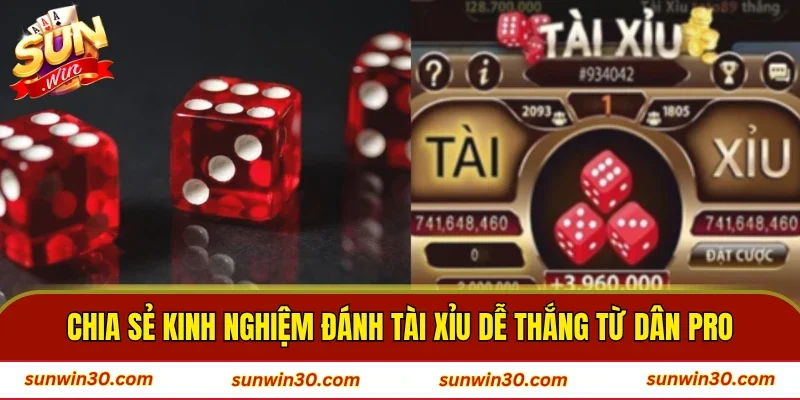 Chia sẻ kinh nghiệm đánh tài xỉu dễ thắng từ dân pro