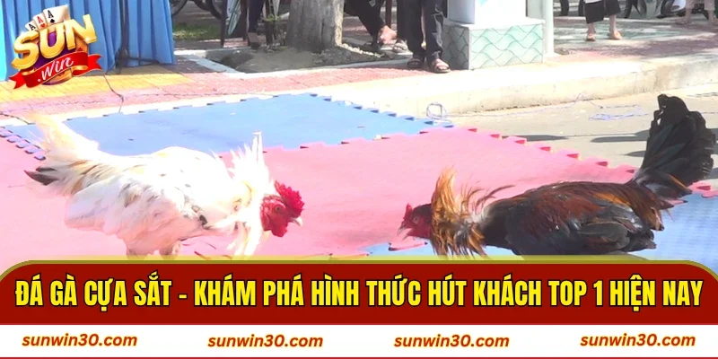 Đá Gà Cựa Sắt