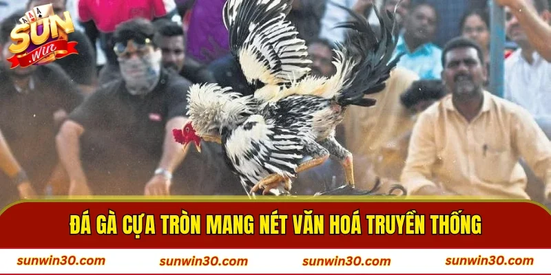 Đá gà cựa tròn mang nét văn hoá truyền thống