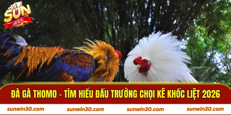 Đà Gà Thomo