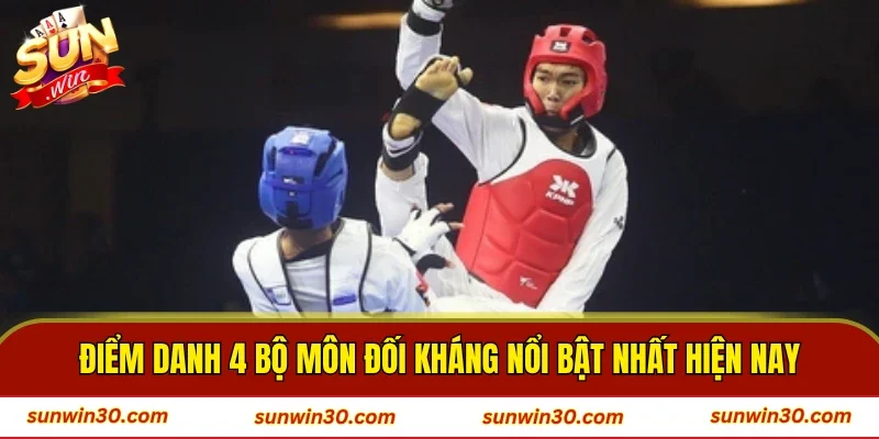 Điểm danh 4 bộ môn đối kháng nổi bật nhất hiện nay