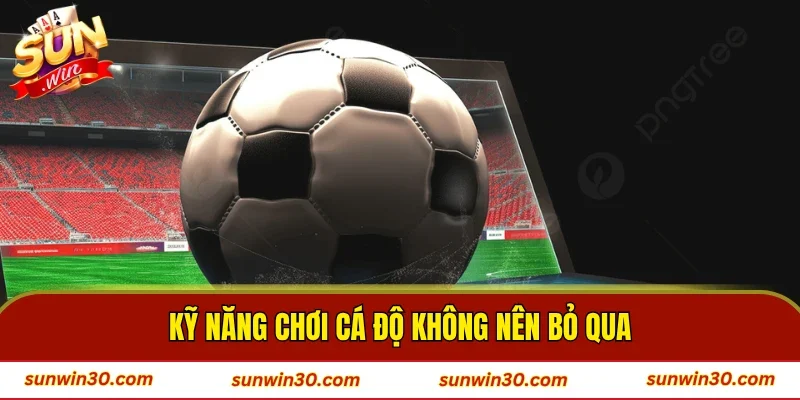 Kỹ năng chơi cá độ không nên bỏ qua