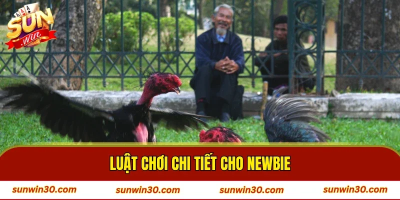 Luật chơi chi tiết cho newbie