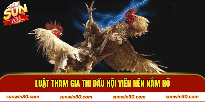 Luật tham gia thi đấu hội viên nên nắm rõ