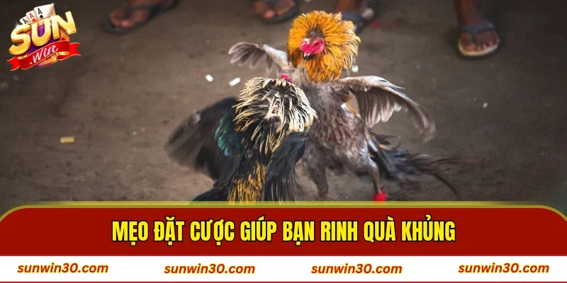 Mẹo đặt cược giúp bạn rinh quà khủng