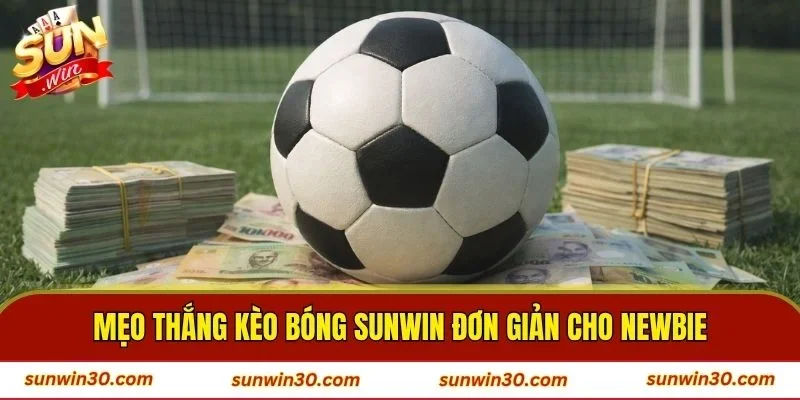 Mẹo thắng kèo bóng Sunwin đơn giản cho newbie