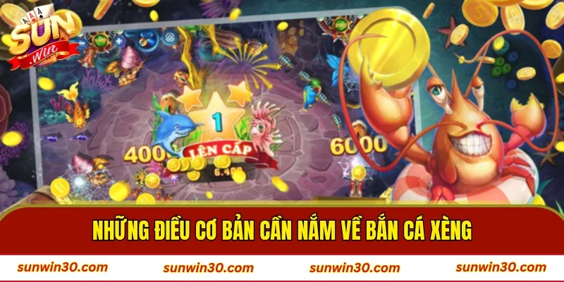 Những điều cơ bản cần nắm về bắn cá Xèng