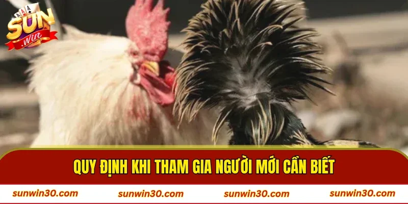 Quy định khi tham gia người mới cần biết