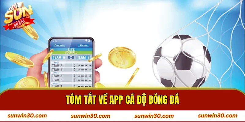 Tóm tắt về app cá độ bóng đá