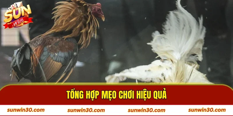 Tổng hợp mẹo chơi hiệu quả